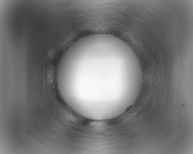 X0000073830133200608311918