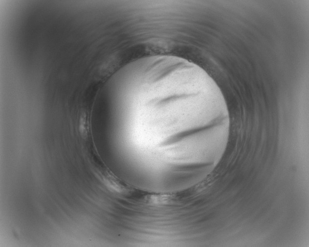 X0000073830134200608311918