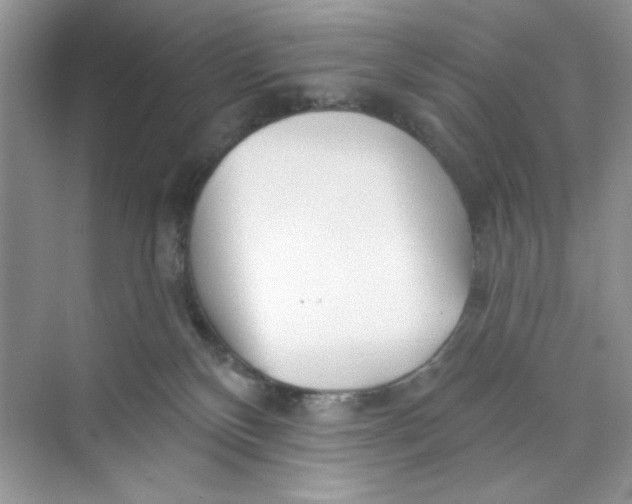 X0000073830136200608311918