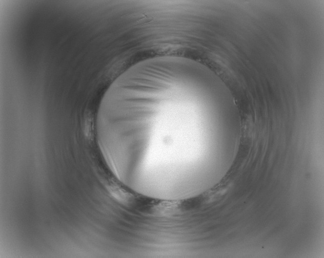 X0000073830138200608311918