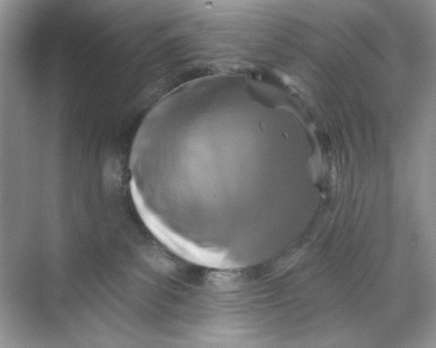 X0000073830139200608311918