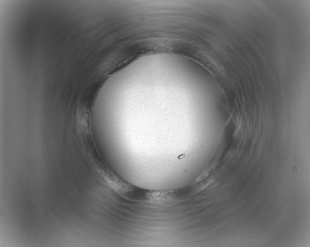 X0000073830141200608311918