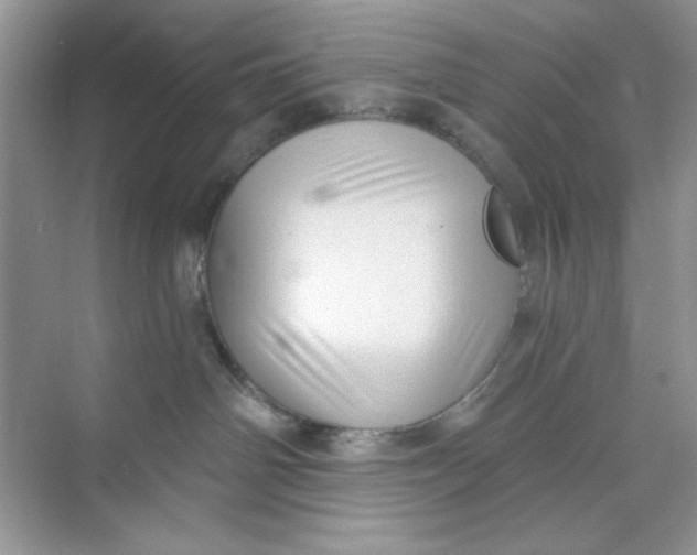 X0000073830142200608311918