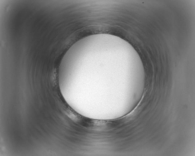 X0000073830144200608311918