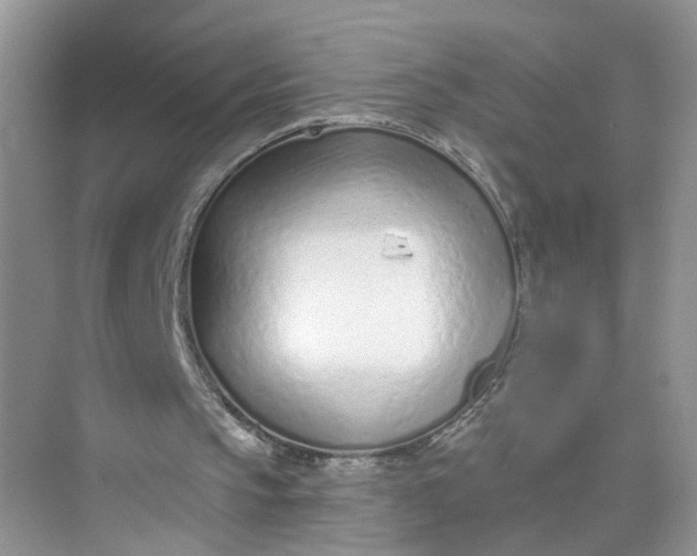 X0000073830145200608311917