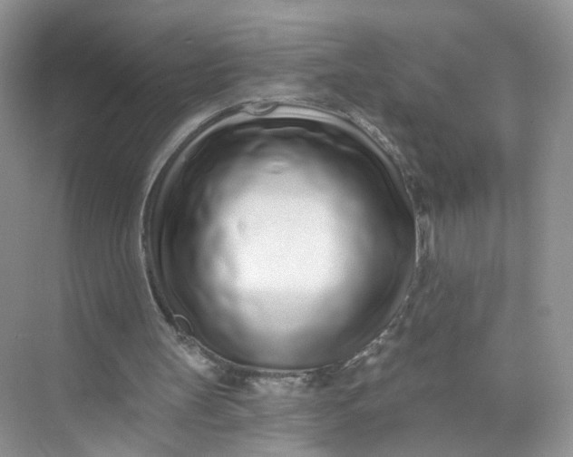 X0000073830147200608311917