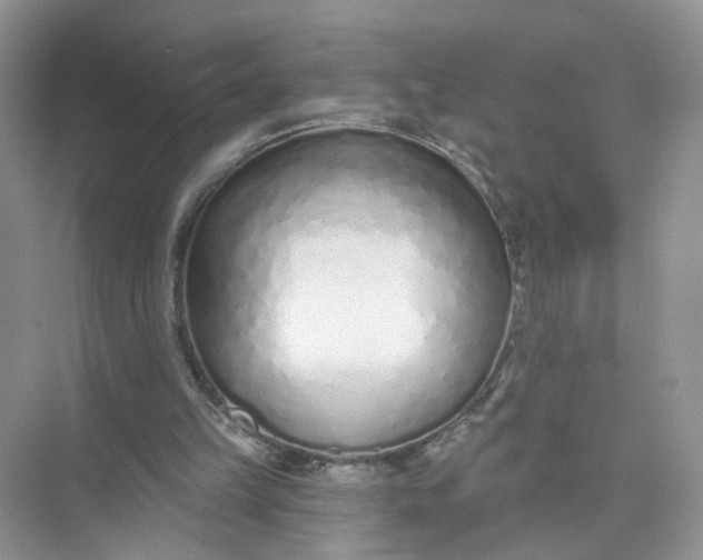 X0000073830149200608311917