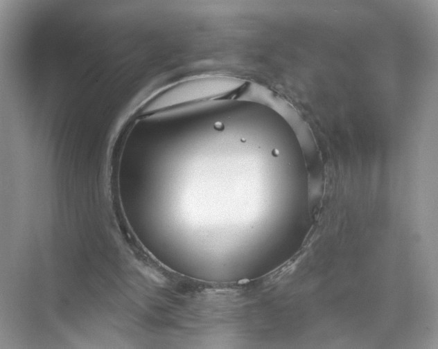 X0000073830150200608311917