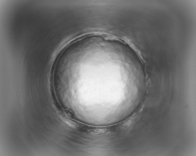 X0000073830151200608311917