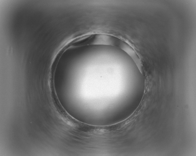 X0000073830152200608311917