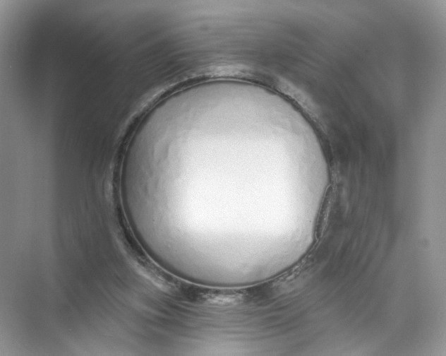 X0000073830155200608311918