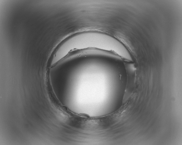 X0000073830156200608311918