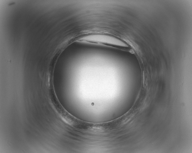 X0000073830157200608311918