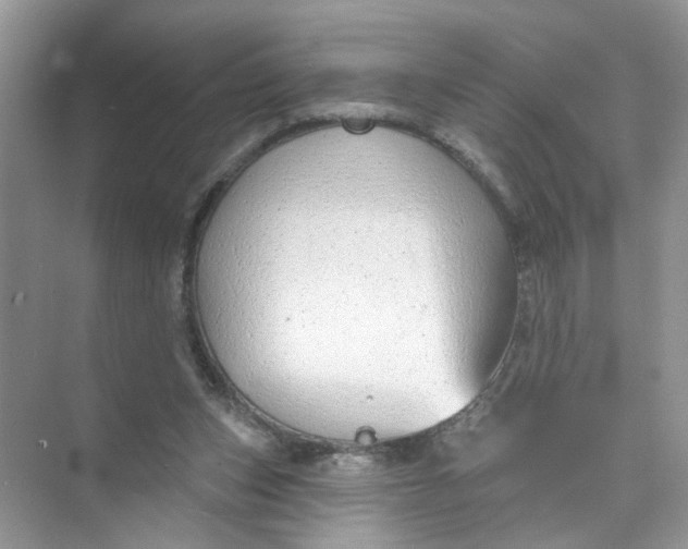 X0000073830159200608311918