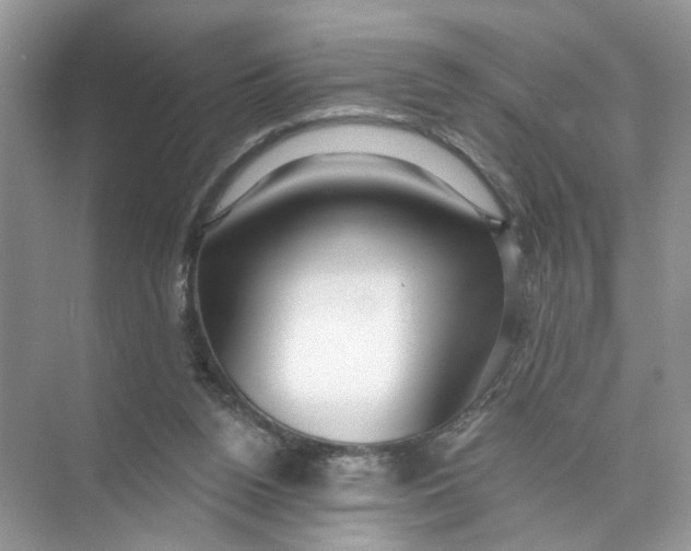 X0000073830160200608311918