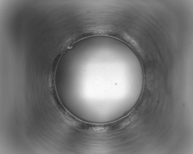 X0000073830161200608311918