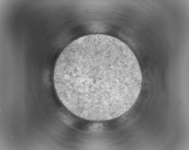 X0000073830162200608311918