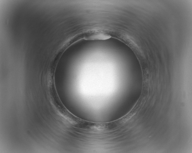 X0000073830164200608311918