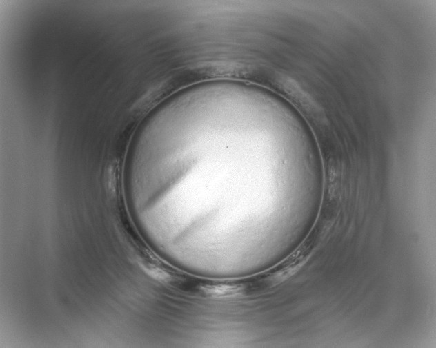 X0000073830165200608311918