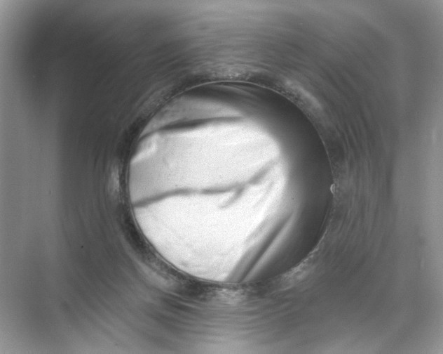 X0000073830166200608311918