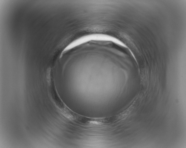 X0000073830167200608311918