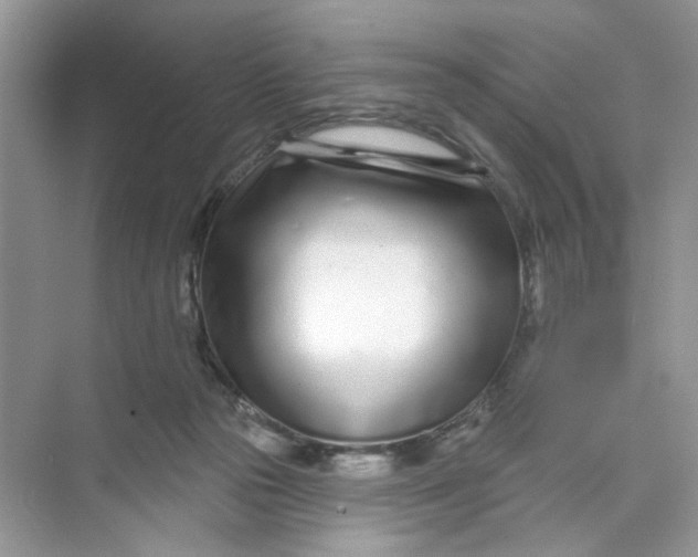 X0000073830169200608311918