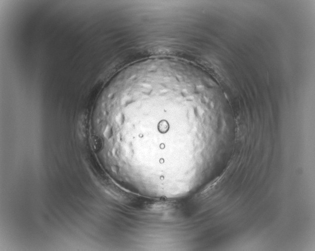 X0000073830171200608311918