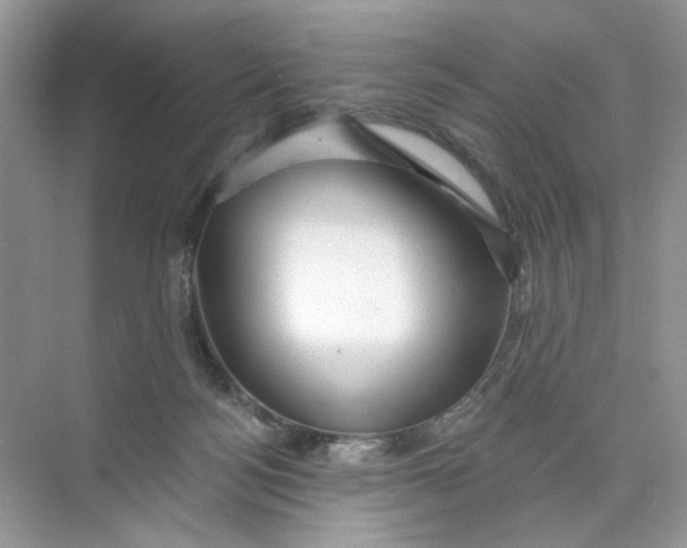 X0000073830172200608311918