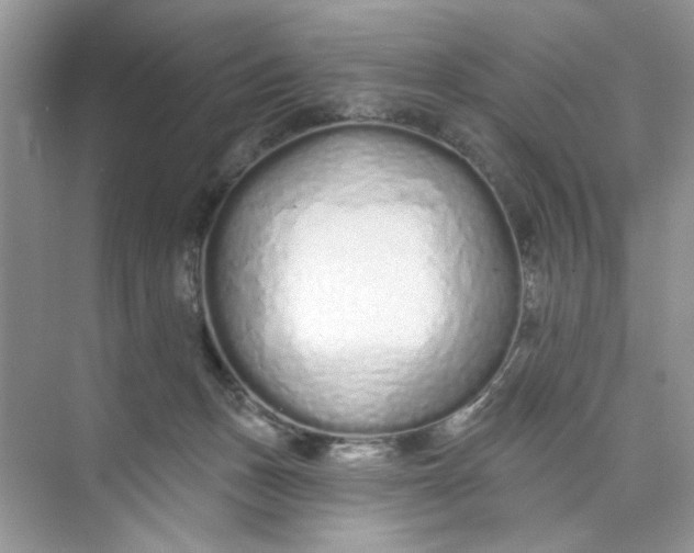 X0000073830175200608311918