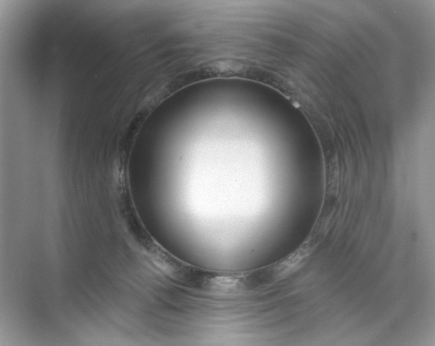 X0000073830176200608311918