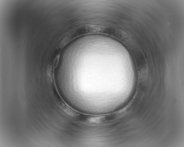 X0000073830178200608311918