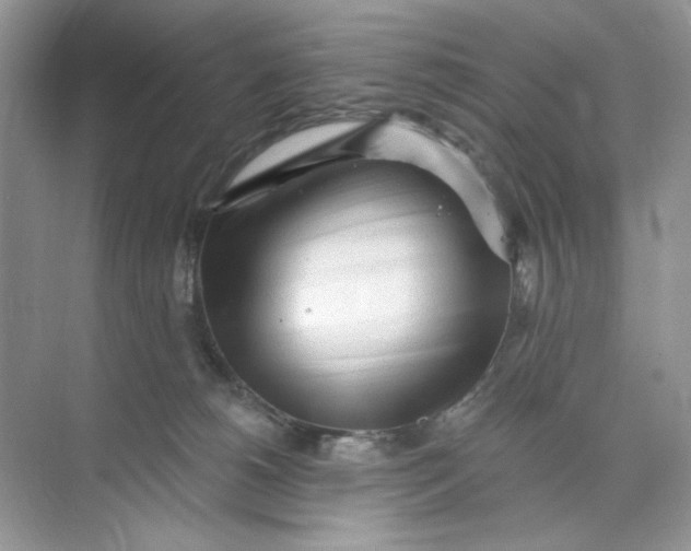 X0000073830180200608311918