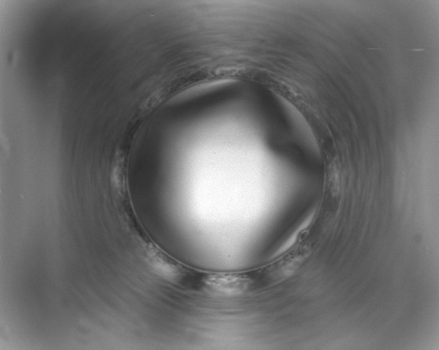 X0000073830181200608311918