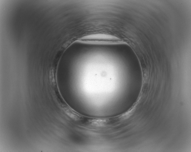 X0000073830182200608311918