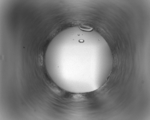 X0000073830183200608311918