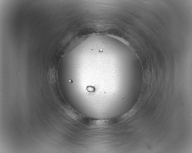 X0000073830184200608311918