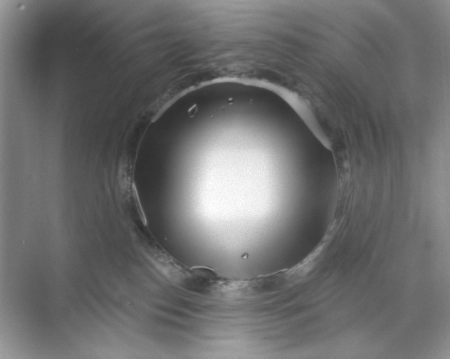 X0000073830186200608311918