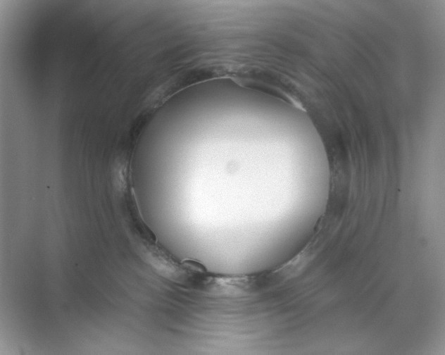 X0000073830188200608311918