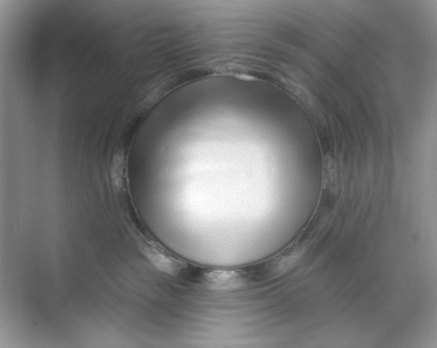 X0000073830189200608311918