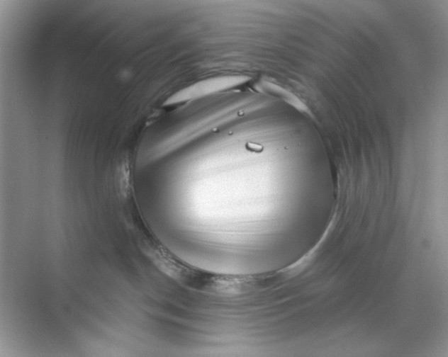 X0000073830190200608311918