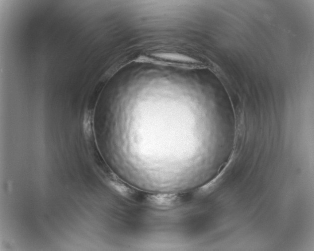 X0000073830191200608311918