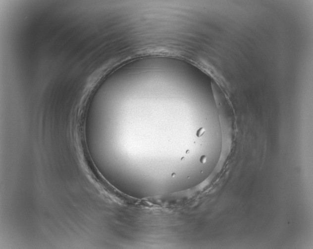 X0000073830193200608311917