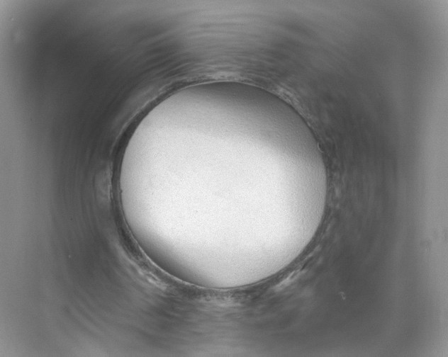 X0000073830194200608311917