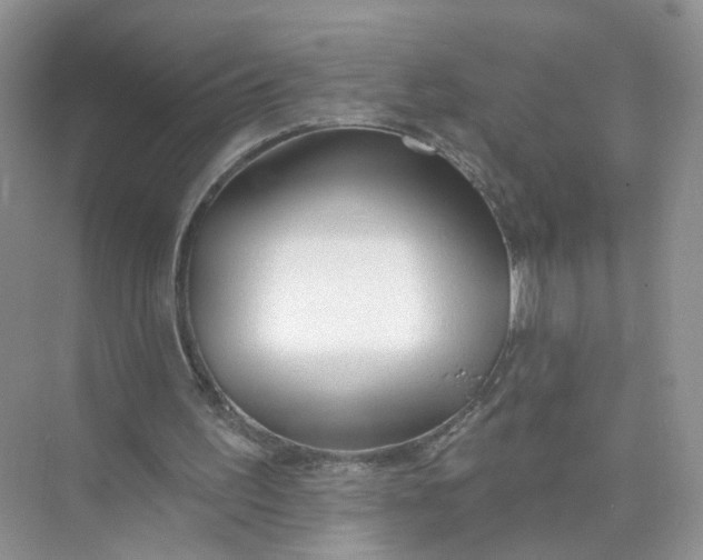 X0000073830195200608311917