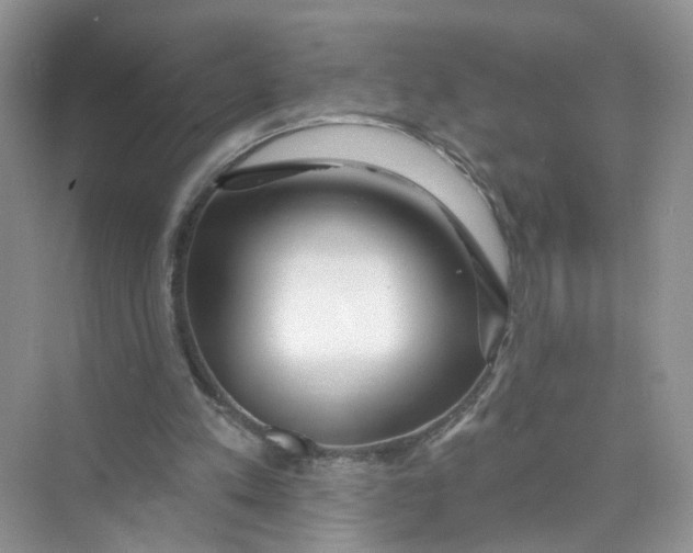 X0000073830197200608311917