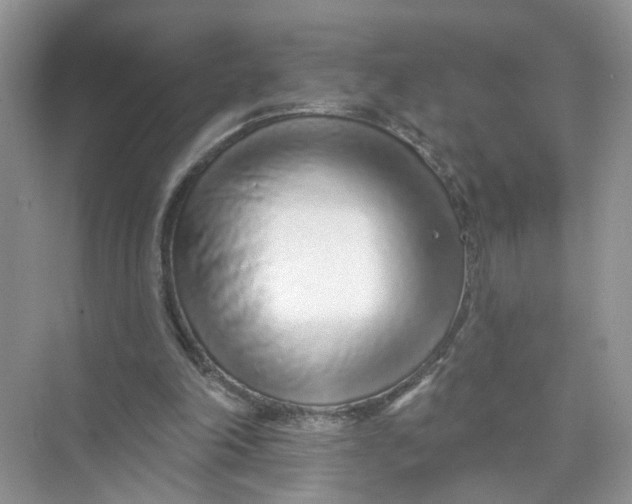 X0000073830198200608311917