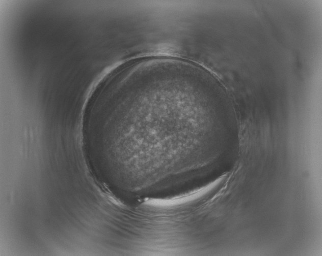 X0000073830200200608311917