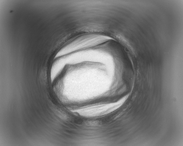 X0000073830202200608311917