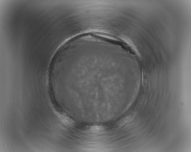 X0000073830204200608311917