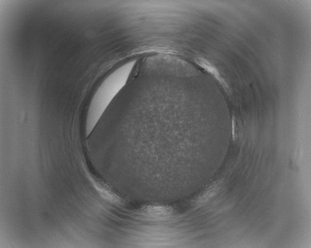 X0000073830205200608311917